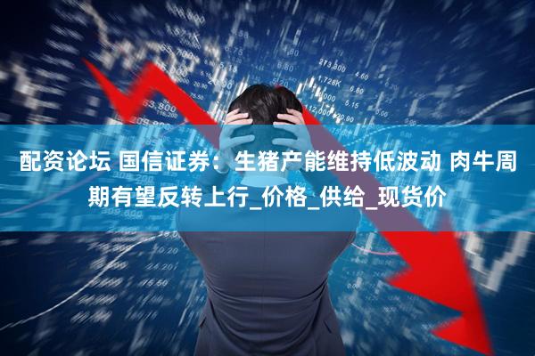 配资论坛 国信证券：生猪产能维持低波动 肉牛周期有望反转上行_价格_供给_现货价